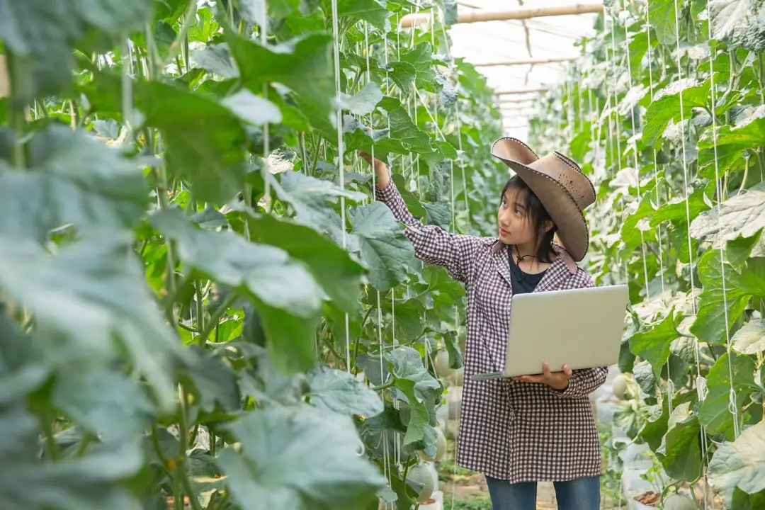 智慧养老服务中心日间照料设施配置与运营方案